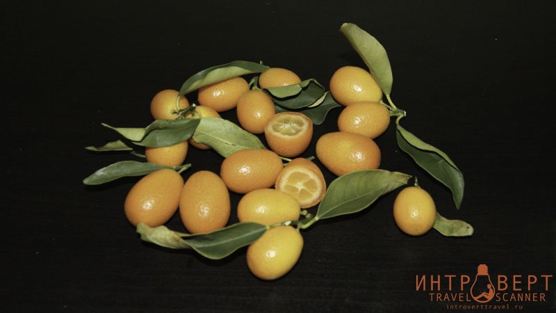 Кумкват (кинкан, японский апельсин, золотое яблоко, фортунелла)